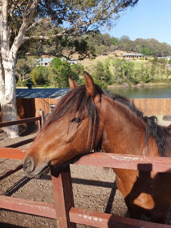 Park View Guest House Albion Park Luaran gambar
